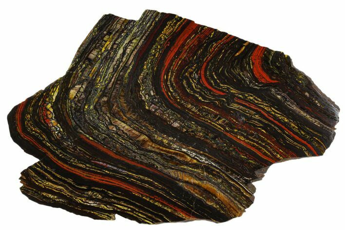 Polished Tiger Iron Stromatolite - Billion Years #129335